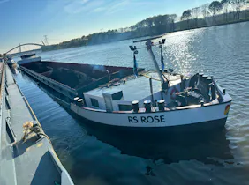 Rs Rose